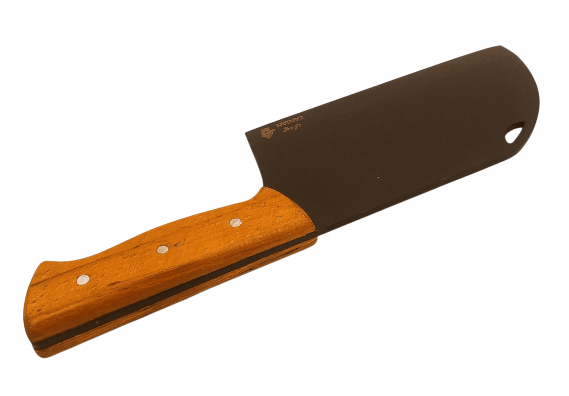 ساتور حیدری زنجان