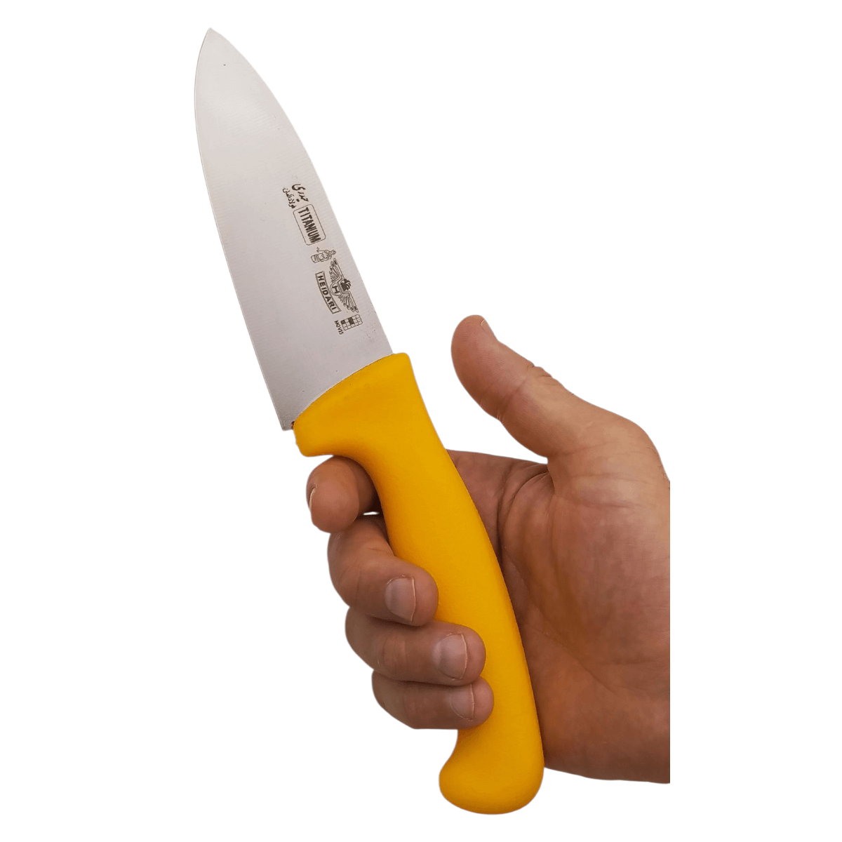 Photoroom-۲۰۲۵۰۷۳۰_۱۷۰۳۱۴۵۶۰ سایز چاقو در دست